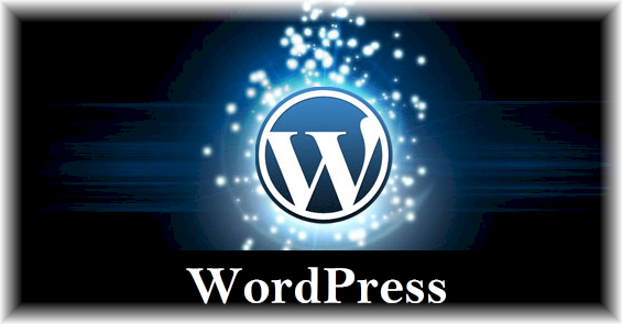 Rochester Web Design Using WordPress